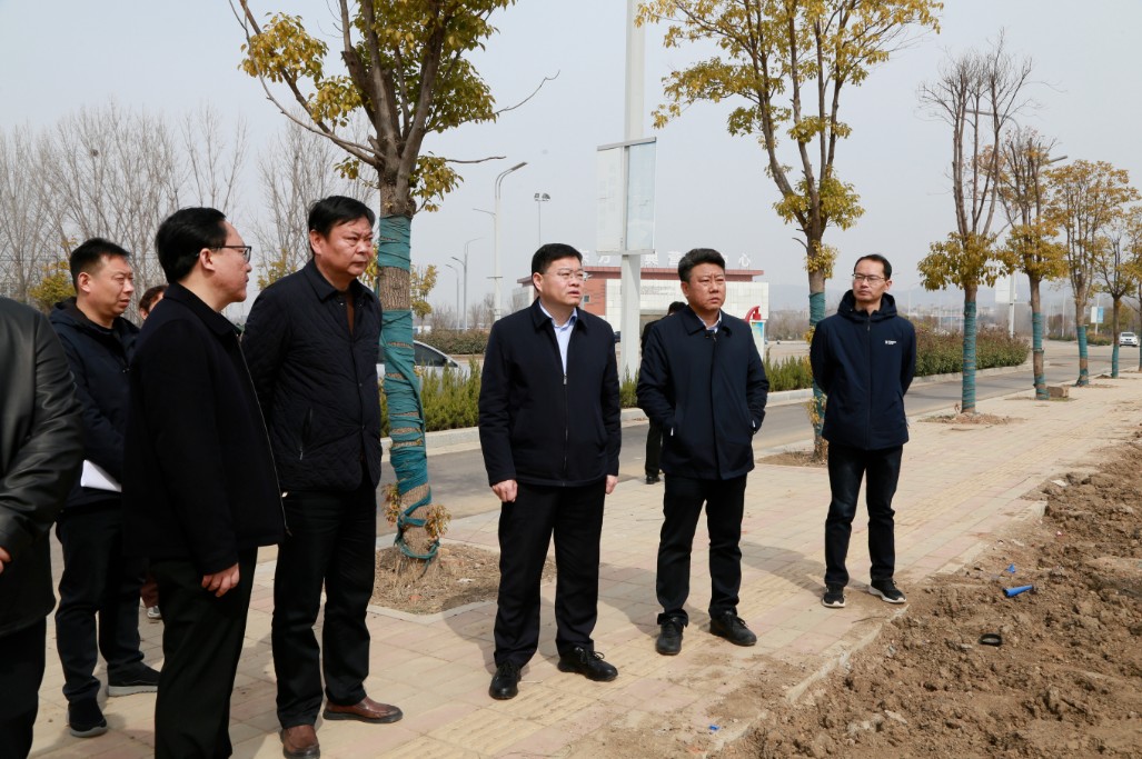 调研督导积水点改造和城乡大绿化工作(图4)